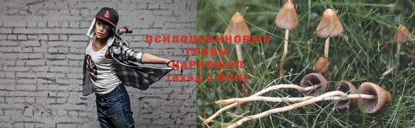 дурь Майский