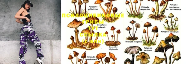марки nbome Магас