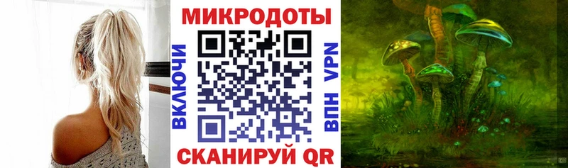 ссылка на мегу ONION  купить наркоту  Хабаровск  Псилоцибиновые грибы ЛСД 